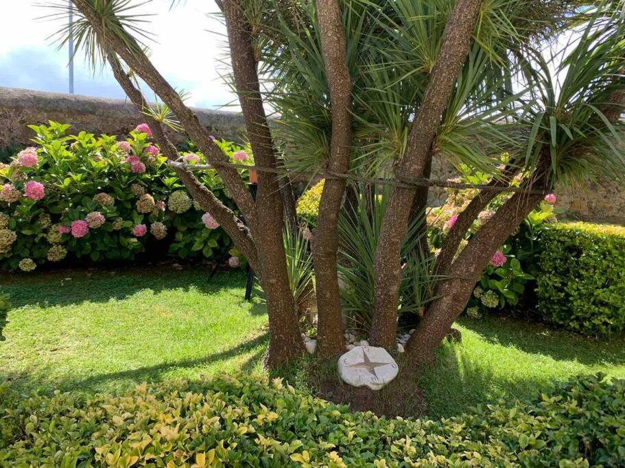 Apartamento Con Jardin Santander Exterior photo